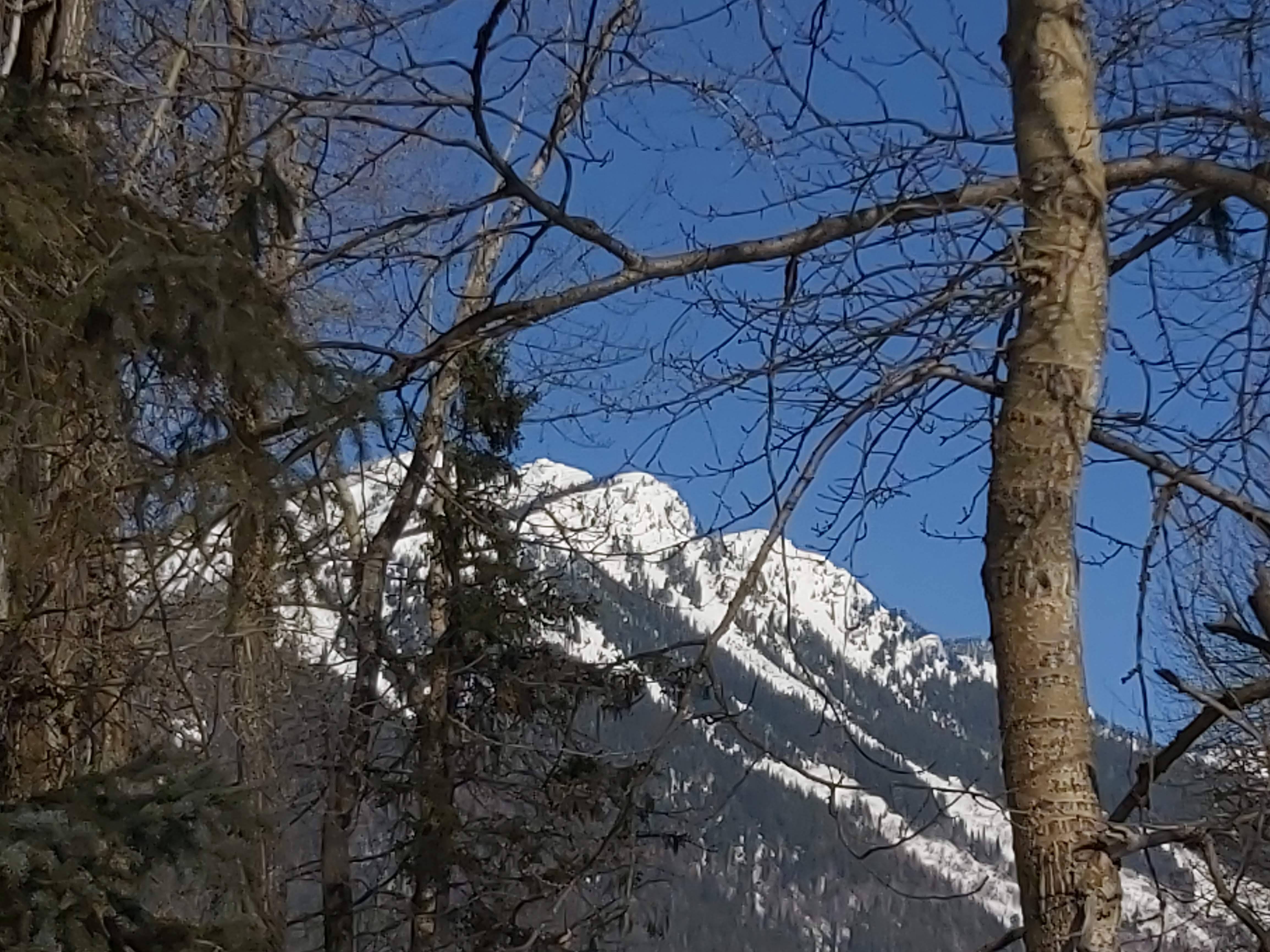 Mountain, at an angle, seen through trees